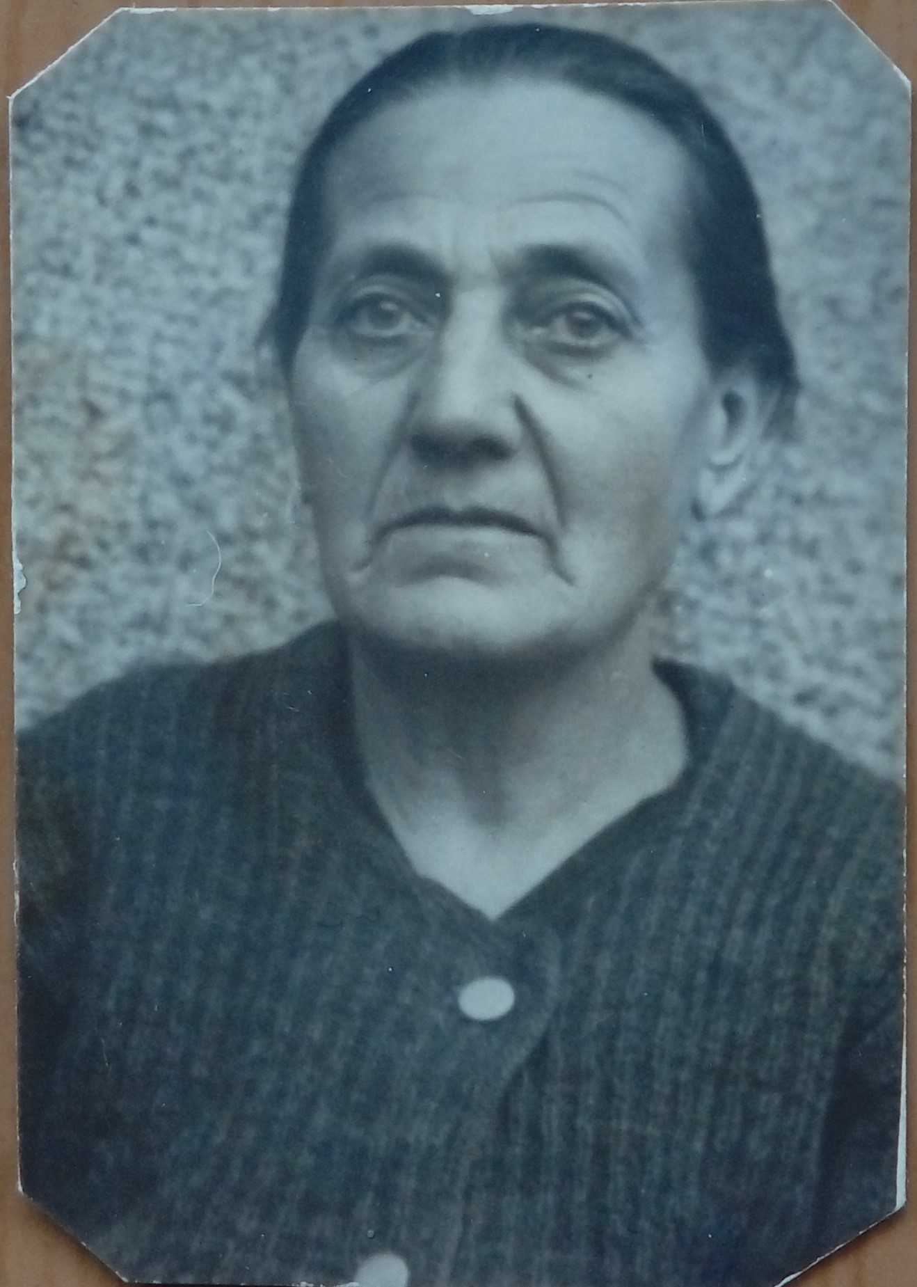 Steriani